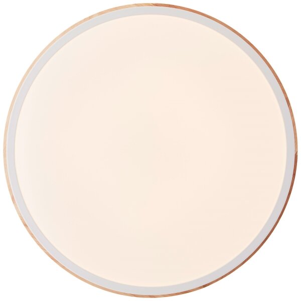 Brilliant - Plafoniera LED dimmerabile BAARLO LED/24W/230V diametro 35 cm bianco