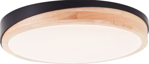 Brilliant - Plafoniera LED dimmerabile BAARLO LED/24W/230V diametro 35 cm nero