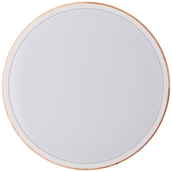 Brilliant - Plafoniera LED dimmerabile BAARLO LED/24W/230V diametro 35 cm bianco