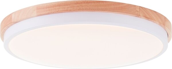 Brilliant - Plafoniera LED dimmerabile BAARLO LED/24W/230V diametro 35 cm bianco