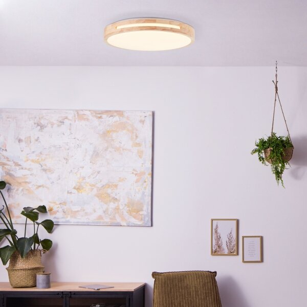 Brilliant - Plafoniera LED dimmerabile WOODBURY LED/24W/230V diametro 39 cm