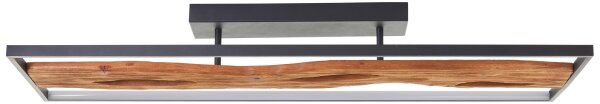 Brilliant - Plafoniera LED dimmerabile CHAUMONT LED/48W/230V