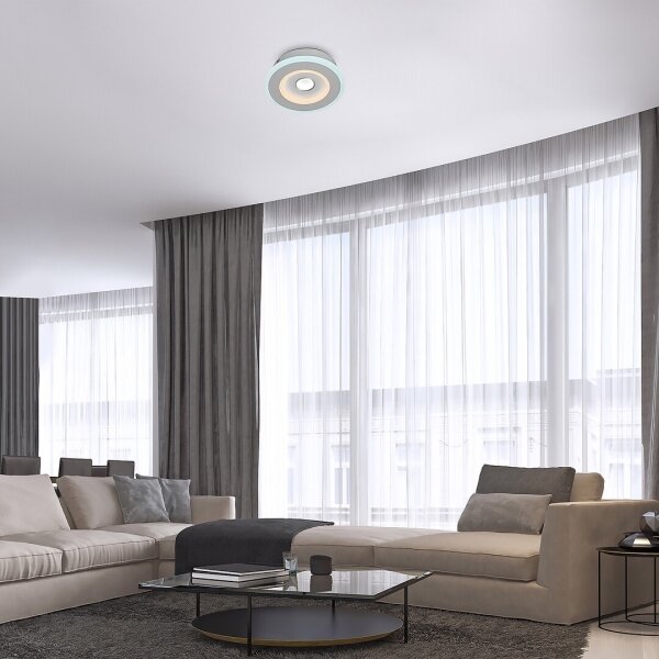 Rabalux 6959 - Plafoniera LED TANELI LED/20W/230V 3000/4000/6000K