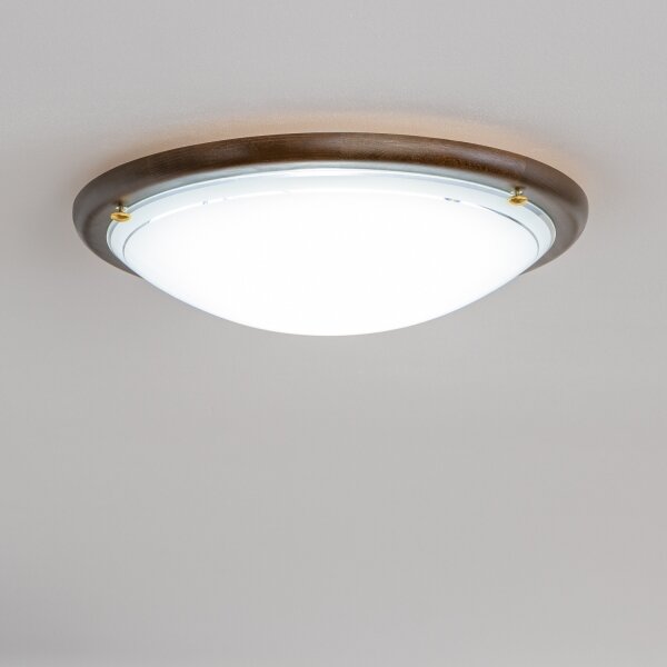Rabalux 5427 - Plafoniera UFO 2xE27/60W/230V