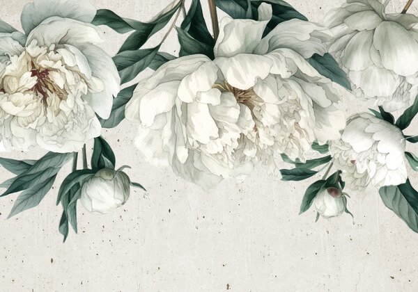 Carta da parati Peonie bianche grandi con foglie verdi su uno sfondo con texture chiara, Carta da parati Floreale, w00837 : Uwalls.it