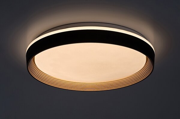 Rabalux 71308 - Plafoniera LED dimmerabile LADAN LED/48W/230V 3000-6500K + TC