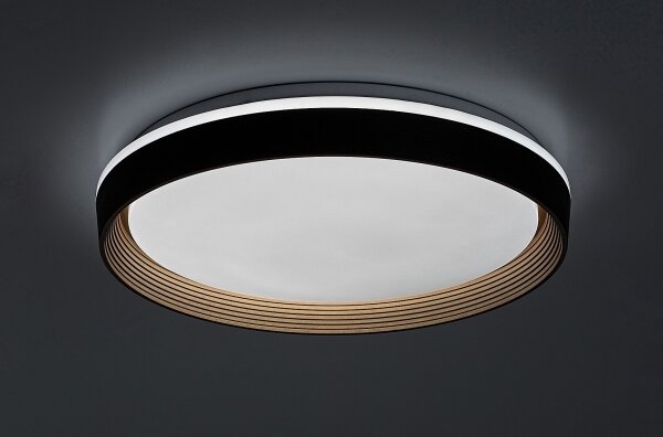 Rabalux 71308 - Plafoniera LED dimmerabile LADAN LED/48W/230V 3000-6500K + TC
