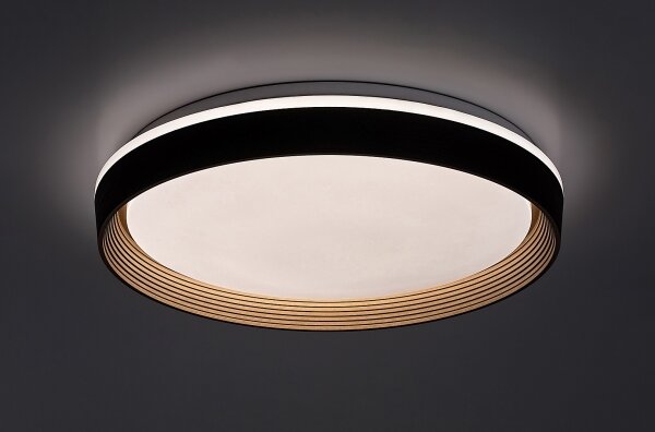 Rabalux 71308 - Plafoniera LED dimmerabile LADAN LED/48W/230V 3000-6500K + TC