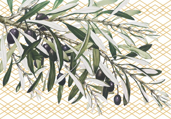 Carta da parati Un ramo con olive nere e foglie, Carta da parati Natura, Carta da parati popolare, w00919 - Tapeko.it