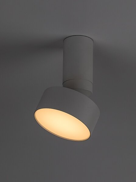Rabalux 71326 - Plafoniera LED OVIDIA LED/10W/230V 3000K bianca