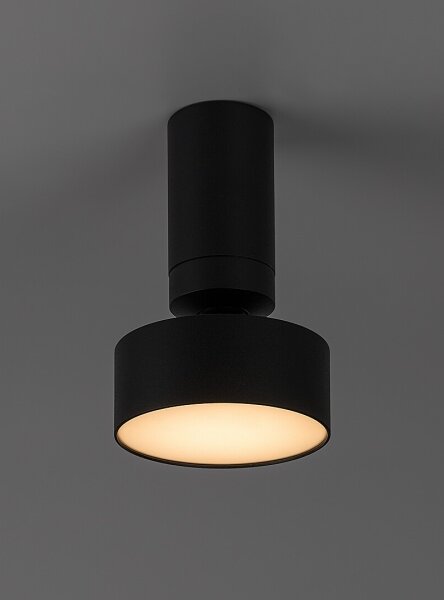 Rabalux 71321 - Plafoniera LED OVIDIA LED/10W/230V 3000K nera