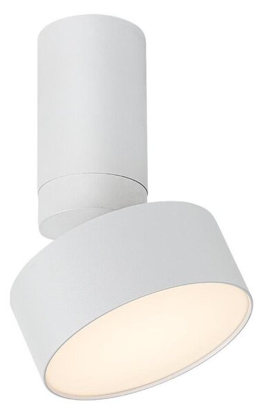 Rabalux 71326 - Plafoniera LED OVIDIA LED/10W/230V 3000K bianca
