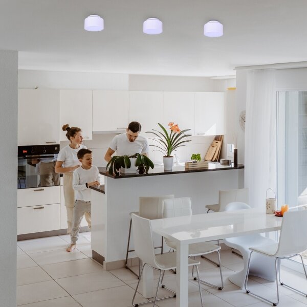 Rabalux 71325 - Plafoniera LED OVIDIA 24W/230V 3000K bianco