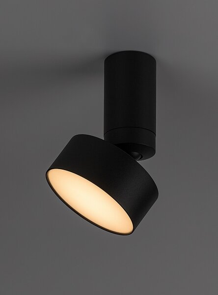 Rabalux 71321 - Plafoniera LED OVIDIA LED/10W/230V 3000K nera
