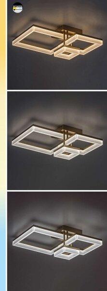 Rabalux 71386 - Plafoniera LED AMILIA LED/22W/230V 3000/4000/6500K nero