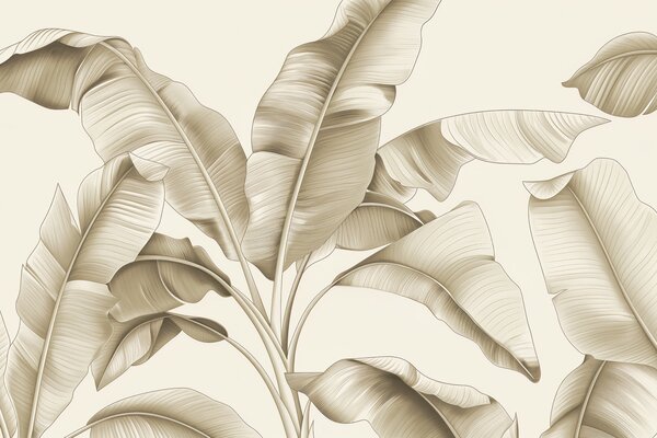 Carta da parati disegnate grandi foglie di banana in colore beige, Carta da parati Natura, Carta da parati Foglie di Palma, w07877v3 : Uwalls.it