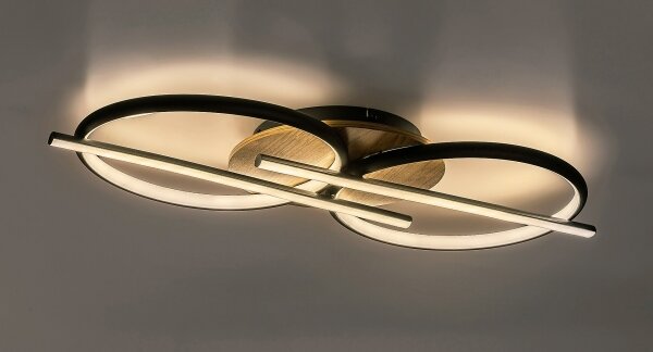 Rabalux 71403 - Plafoniera LED ARASH LED/40W/230V 3000/4000/6500K