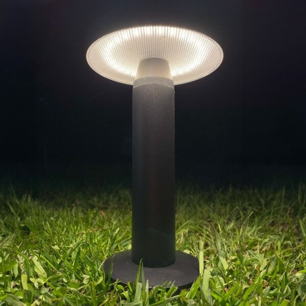 Zuma Line DT33611 - Lampada solare LED CARLI LED/2W/2000 mAh IP44 nero