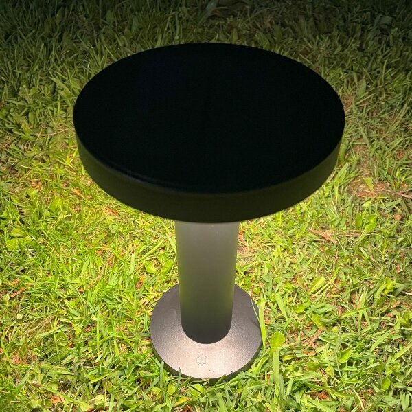 Zuma Line DT33611 - Lampada solare LED CARLI LED/2W/2000 mAh IP44 nero
