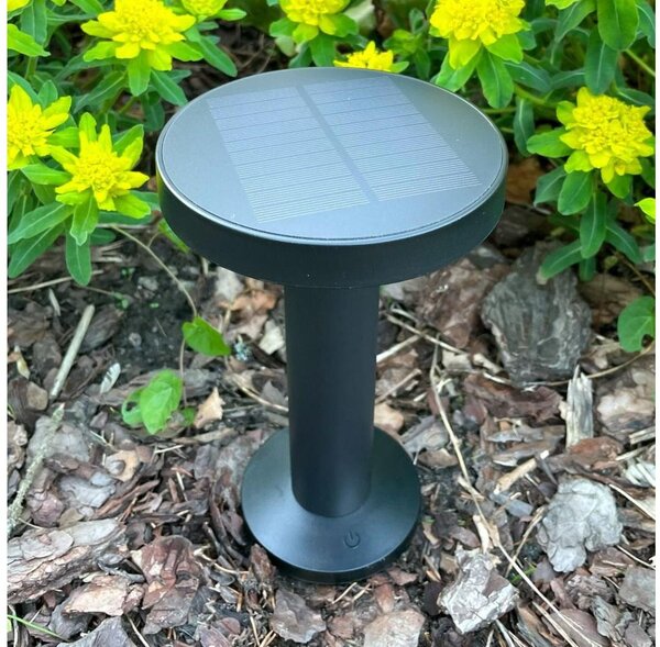 Zuma Line DT33611 - Lampada solare LED CARLI LED/2W/2000 mAh IP44 nero