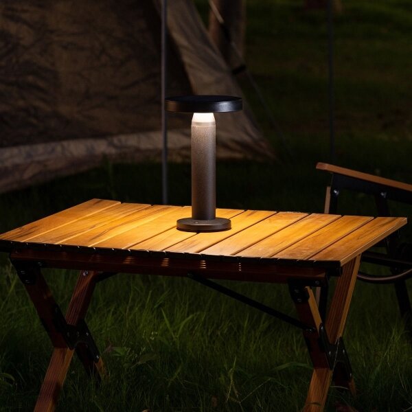 Zuma Line DT33611 - Lampada solare LED CARLI LED/2W/2000 mAh IP44 nero