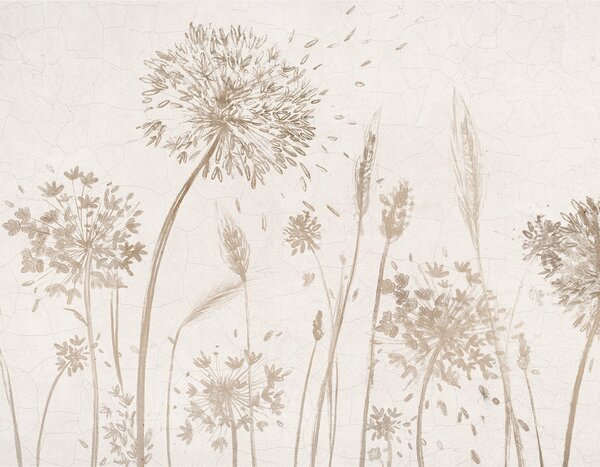 Carta da parati Un campo di denti di leone e altri fiori di campo su uno sfondo morbido e nebbioso, Carta da parati Floreale, w07921 : Uwalls.it