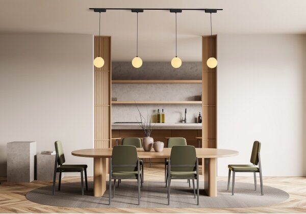 Rabalux 70131 - Lampadario a sospensione con filo LED dimmerabile per sistema ferroviario monofase LiTrack LED/5W/24V