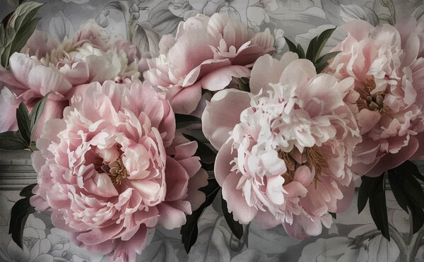 Carta da parati Peonie, Carta da parati Floreale, w08014 : Uwalls.it