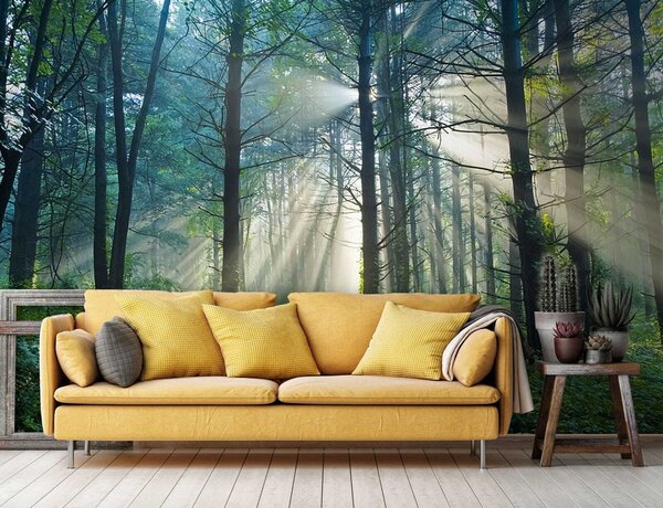 Carta da parati Un momento di silenzio, Carta da parati Natura, u70959 : Uwalls.it