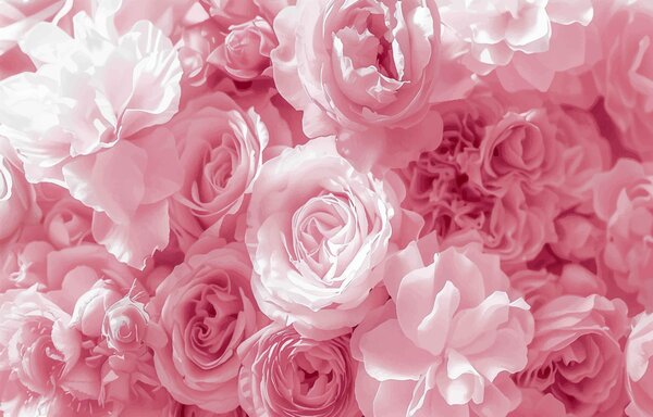 Carta da parati Rose rosa, Carta da parati Floreale, Carta da parati Rose, w08061 : Uwalls.it