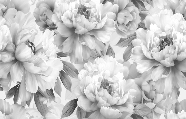 Carta da parati Peonie bianche e nere, Carta da parati Floreale, w08068 : Uwalls.it
