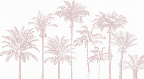 Carta da parati Oasi di palme tropicali colore rosa minimale, Carta da parati Natura, w08111v1 : Uwalls.it