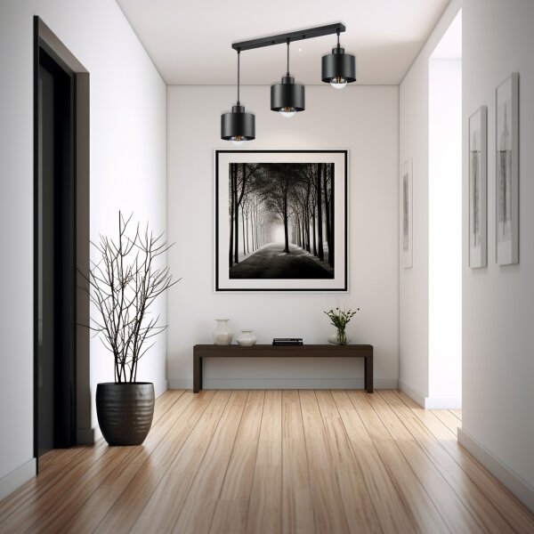 Lampadario a sospensione con filo 3xE27/35W/230V nero