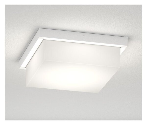 MIAMI PLUS PLAFONIERA APPLIQUE QUADRATA IP54 IN ALLUMINIO CON DIFFUSORE BIANCO LAMPADINE GX53 SOSTITUIBILI