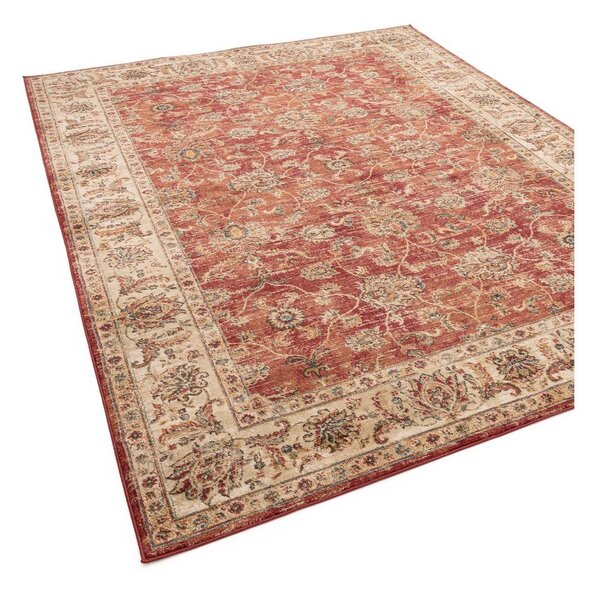 Tappeto rosso 160x220 cm Raja – Asiatic Carpets