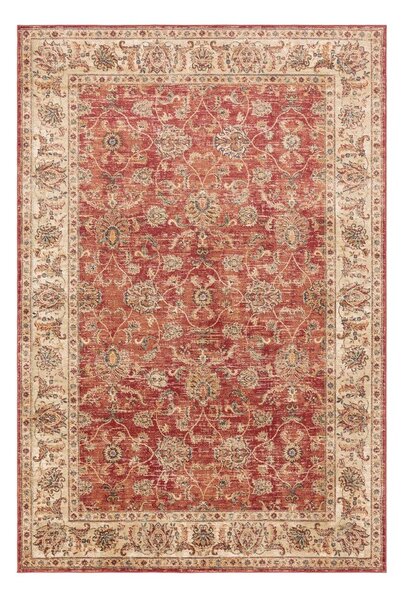 Tappeto rosso 160x220 cm Raja – Asiatic Carpets