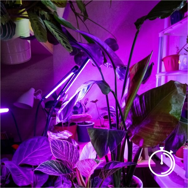Lampada da terra dimmerabile a LED per la coltivazione di piante VITARO 4xLED/7,5W/230V nero