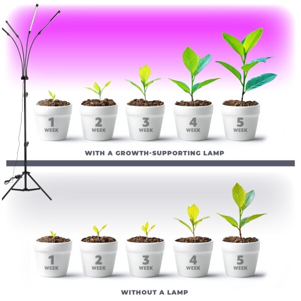 Lampada da terra dimmerabile a LED per la coltivazione di piante VITARO 4xLED/7,5W/230V nero