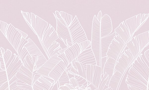 Carta da parati Foglie di banano tropicali colore rosa minimalismo, Carta da parati Natura, Carta da parati Foglie di Palma, w08210v3 : Uwalls.it