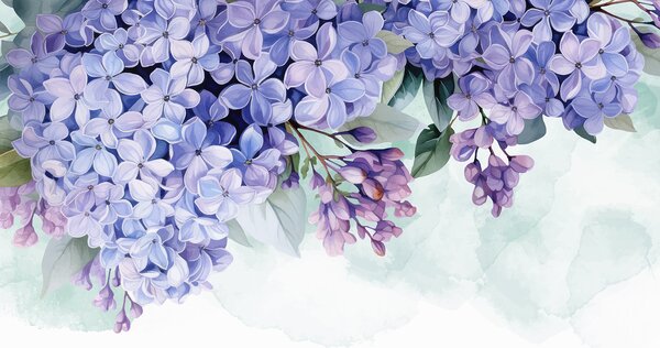 Carta da parati Fiori di ortensia viola vibranti con foglie verdi, che riempiono la cornice su uno, Carta da parati Acquerello, w08223 : Uwalls.it