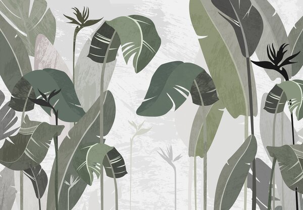 Carta da parati Foglie di felce verdi su sfondo bianco, Carta da parati Natura, w08180 : Uwalls.it