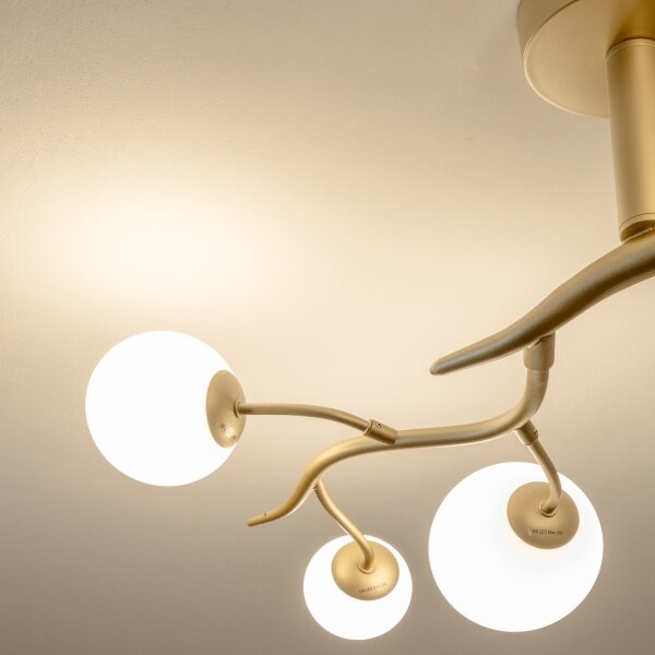 Brilagi - Lampadario a plafone LED MISTEL 6xG9/3W/230V oro/bianco
