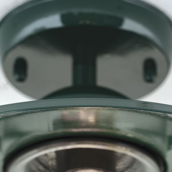 Orion AL 11-1317 - Lampadario da esterno EDWARD 1xE27/60W/230V IP44 verde