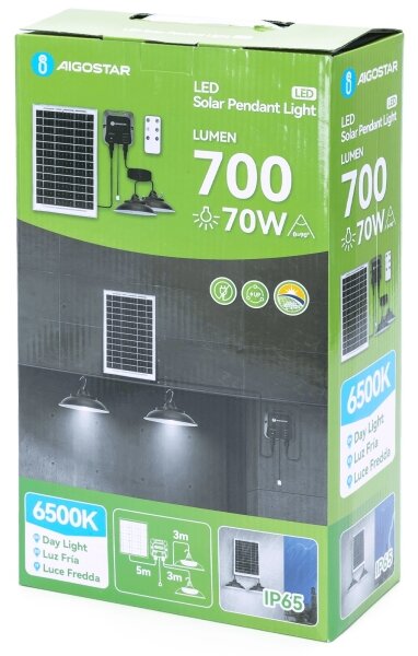 Aigostar - Lampadario solare LED con sensore 2xLED/35W/12V 6000 mAh 6500K diametro 15 cm