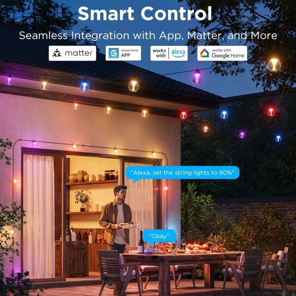 Govee-LED RGBICW Catena decorativa per esterni dimmerabile LED/24W/230V IP67 2700-6500K Wi-Fi