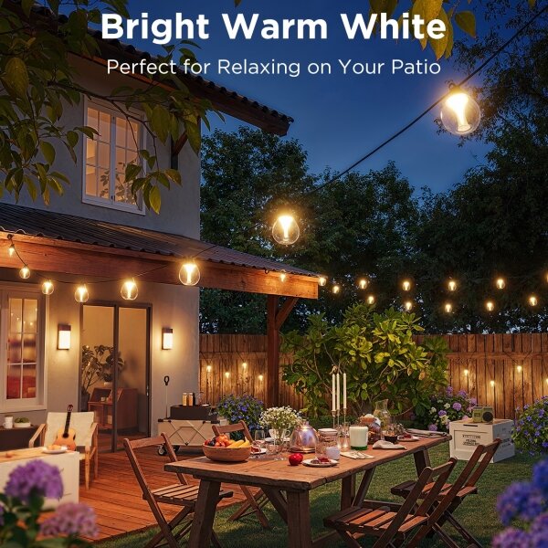 Govee-LED RGBICW Catena decorativa per esterni dimmerabile LED/24W/230V IP67 2700-6500K Wi-Fi