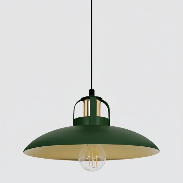 Brilagi - LED Lampadario a sospensione con filo FLAMENGO 1xE27/60W/230V verde