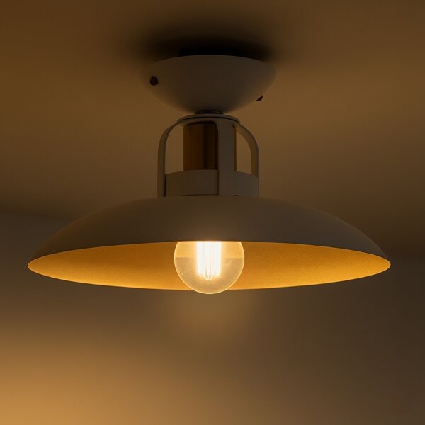 Brilagi - LED Lampadario a plafone FLAMENGO 1xE27/60W/230V bianco