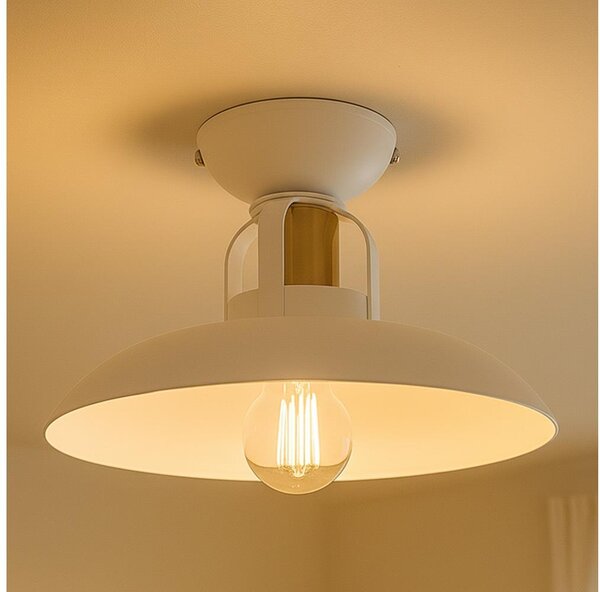 Brilagi - LED Lampadario a plafone FLAMENGO 1xE27/60W/230V bianco