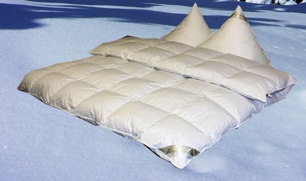 Betten Hofmann Eiszeit Premium 10 cm Piumino invernale a trama alta 6x7 240x220 cm